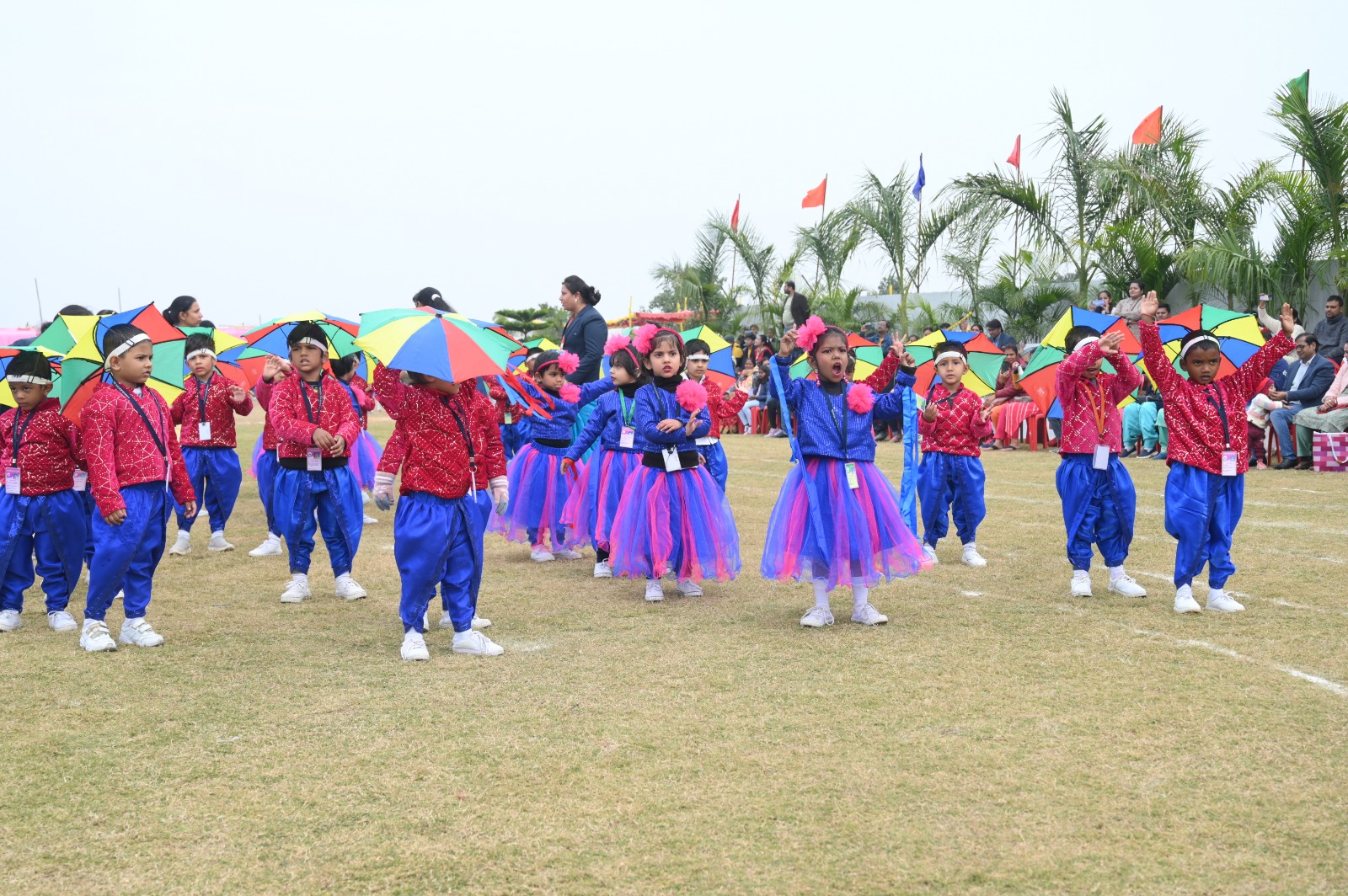 Classroom Activities