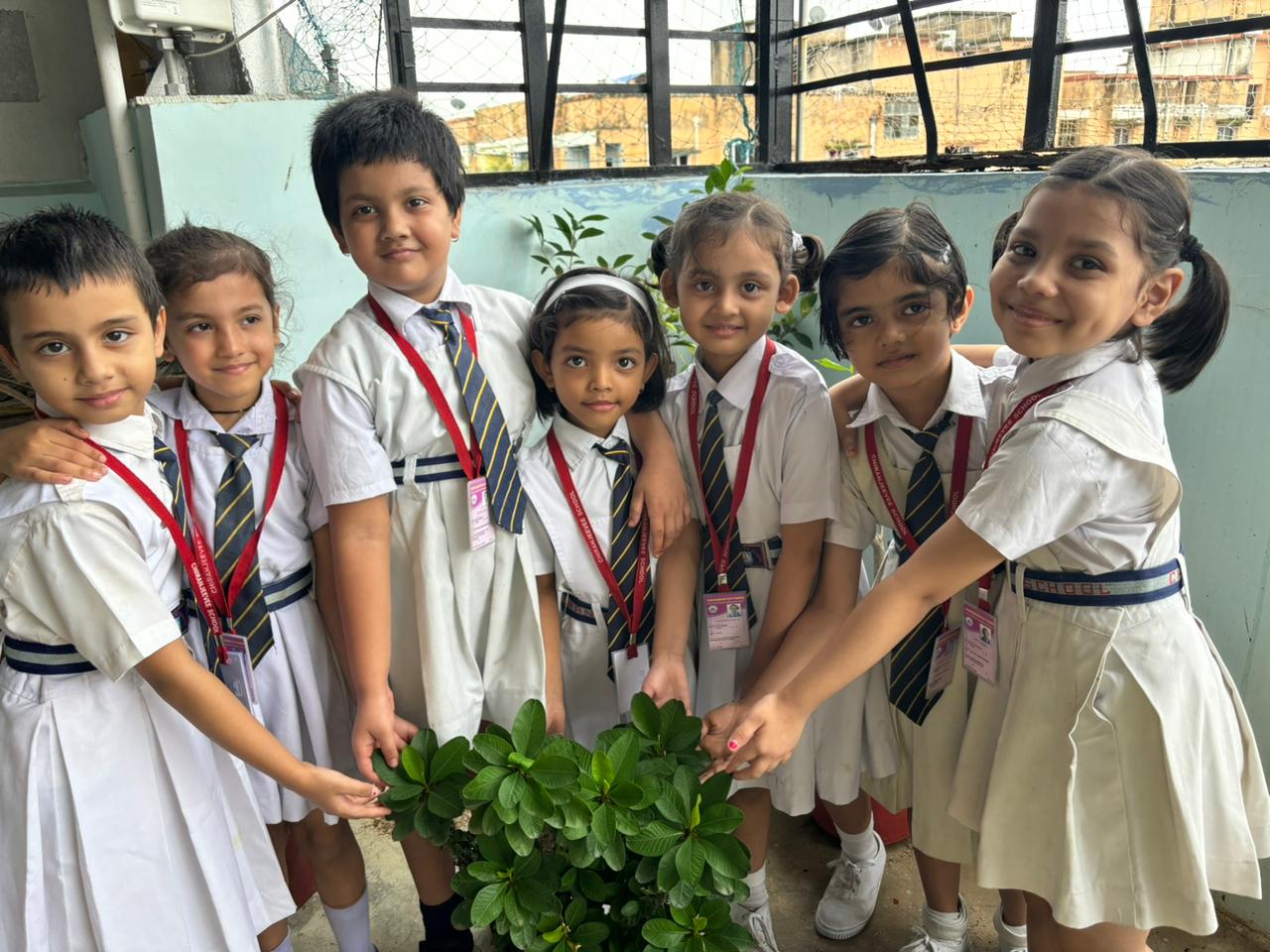 Classroom Activities